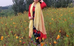 天美传媒在线观看TNTN高清